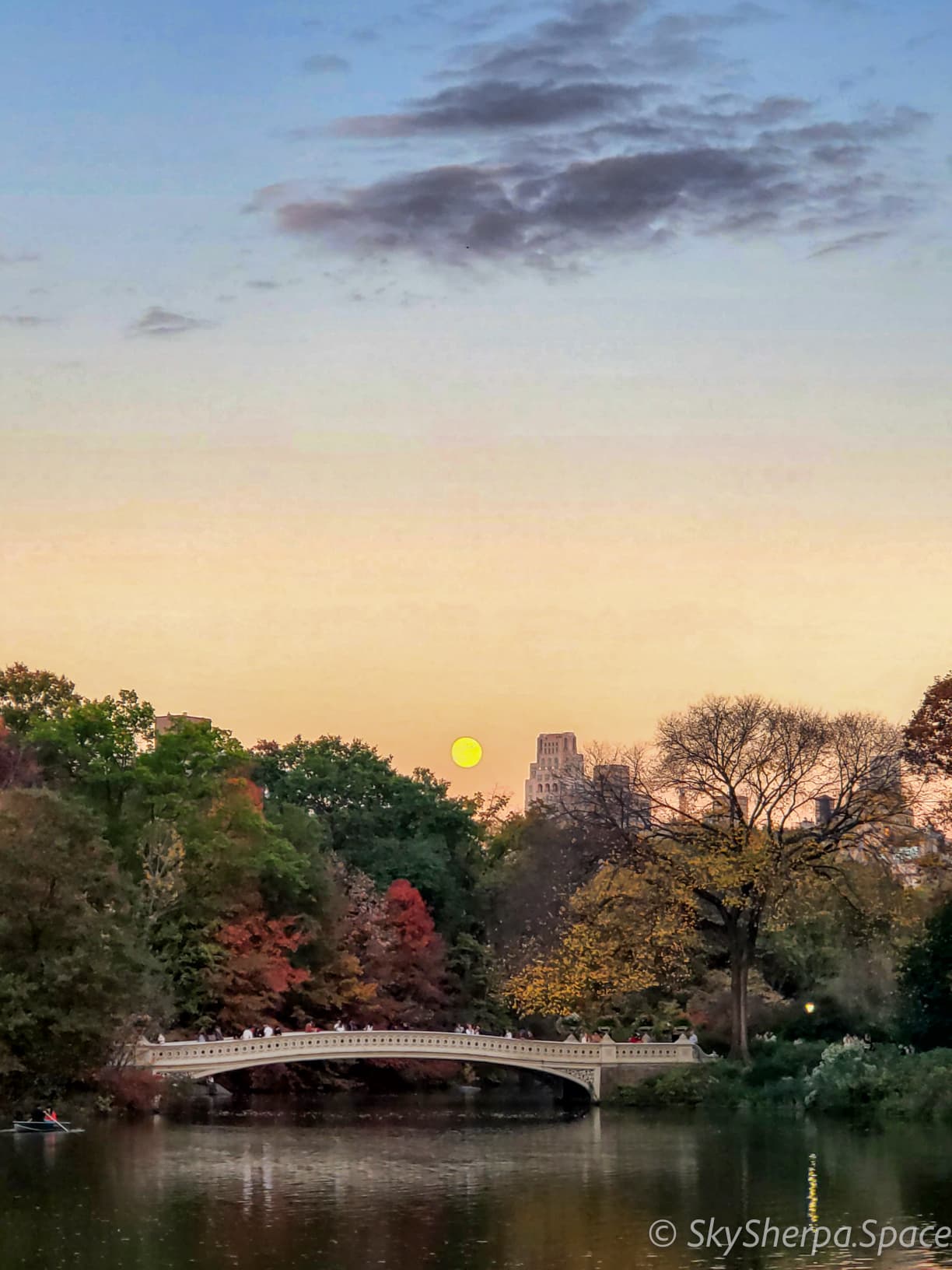 Central Park Metropolitan Cosmos